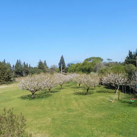 Gite Crillon - Mas Les Fleurs D'Hilaire Monteux Buitenkant foto