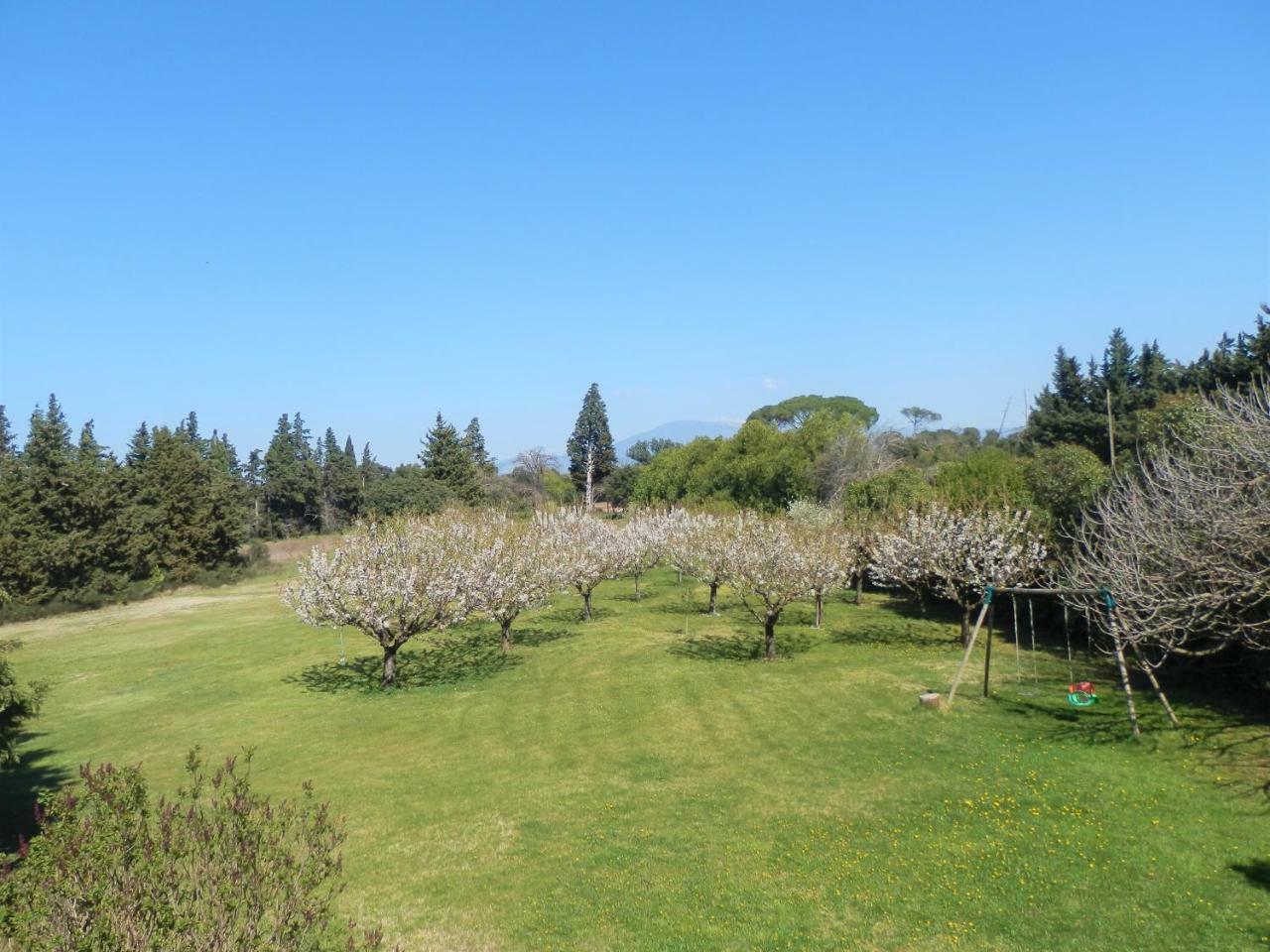 Crillon - Mas Les Fleurs D'hilaire Apartment
